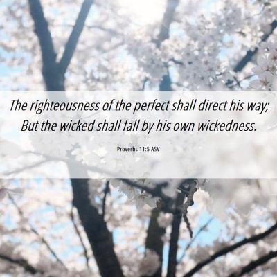 Picture 06 - Proverbs 11:5 ASV - The righteousness of the perfect shall direct his - Bible Verse Picture