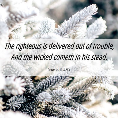 Picture 06 - Proverbs 11:8 ASV - The righteous is delivered out of trouble, And - Bible Verse Picture