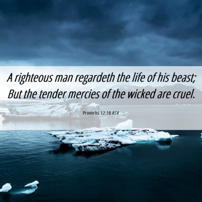 Picture 06 - Proverbs 12:10 ASV - A righteous man regardeth the life of his beast; - Bible Verse Picture
