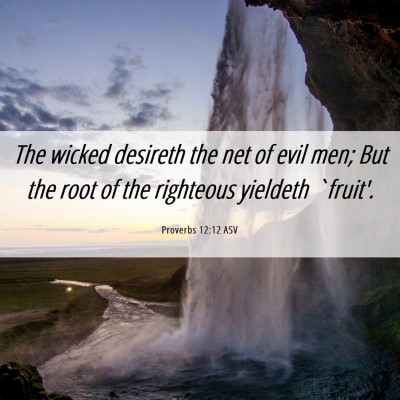Picture 06 - Proverbs 12:12 ASV - The wicked desireth the net of evil men; But the - Bible Verse Picture