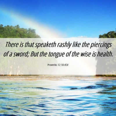 Picture 06 - Proverbs 12:18 ASV - There is that speaketh rashly like the piercings - Bible Verse Picture