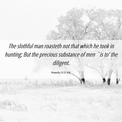 Picture 06 - Proverbs 12:27 ASV - The slothful man roasteth not that which he took - Bible Verse Picture