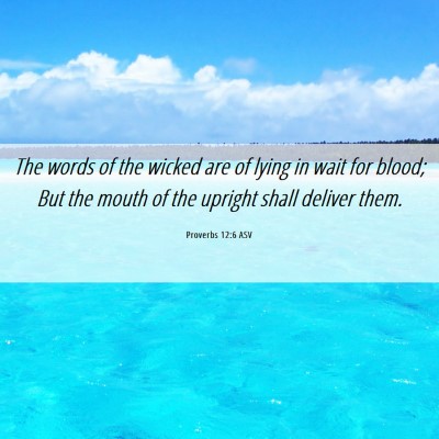 Picture 06 - Proverbs 12:6 ASV - The words of the wicked are of lying in wait for - Bible Verse Picture