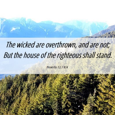 Picture 06 - Proverbs 12:7 ASV - The wicked are overthrown, and are not; But the - Bible Verse Picture