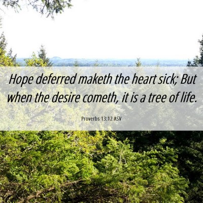 Picture 06 - Proverbs 13:12 ASV - Hope deferred maketh the heart sick; But when the - Bible Verse Picture
