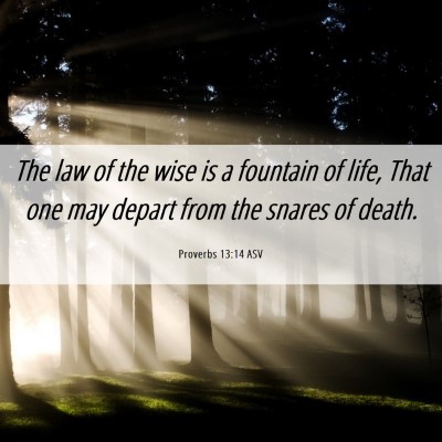 Picture 06 - Proverbs 13:14 ASV - The law of the wise is a fountain of life, That - Bible Verse Picture