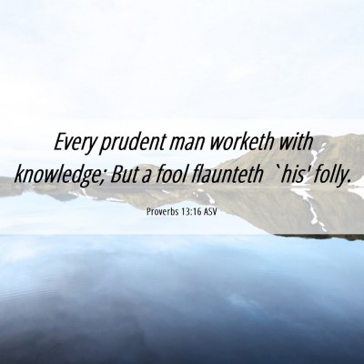 Picture 06 - Proverbs 13:16 ASV - Every prudent man worketh with knowledge; But a - Bible Verse Picture