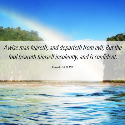 Picture 06 - Proverbs 14:16 ASV - A wise man feareth, and departeth from evil; But - Bible Verse Picture