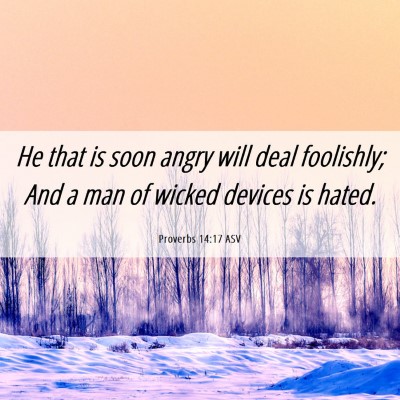 Picture 06 - Proverbs 14:17 ASV - He that is soon angry will deal foolishly; And a - Bible Verse Picture