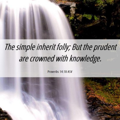 Picture 06 - Proverbs 14:18 ASV - The simple inherit folly; But the prudent are - Bible Verse Picture