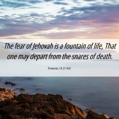 Picture 06 - Proverbs 14:27 ASV - The fear of Jehovah is a fountain of life, That - Bible Verse Picture