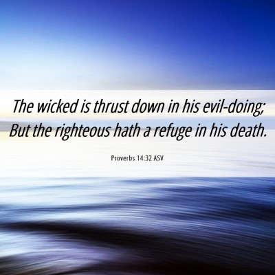 Picture 06 - Proverbs 14:32 ASV - The wicked is thrust down in his evil-doing; But - Bible Verse Picture
