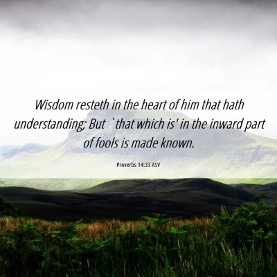 Picture 06 - Proverbs 14:33 ASV - Wisdom resteth in the heart of him that hath - Bible Verse Picture