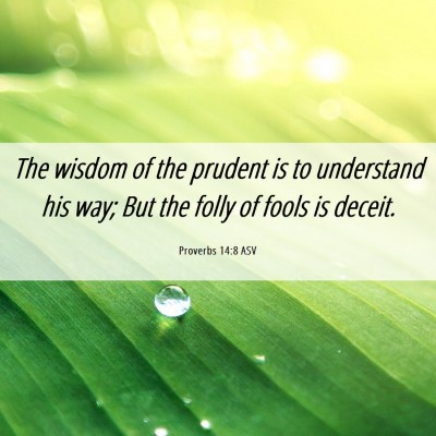 Picture 06 - Proverbs 14:8 ASV - The wisdom of the prudent is to understand his - Bible Verse Picture