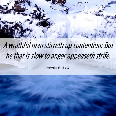 Picture 06 - Proverbs 15:18 ASV - A wrathful man stirreth up contention; But he - Bible Verse Picture