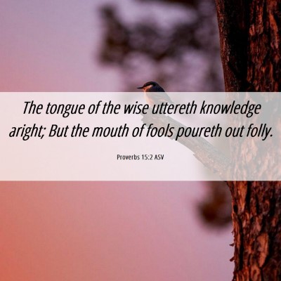 Picture 06 - Proverbs 15:2 ASV - The tongue of the wise uttereth knowledge aright; - Bible Verse Picture