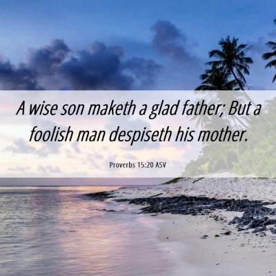 Picture 06 - Proverbs 15:20 ASV - A wise son maketh a glad father; But a foolish - Bible Verse Picture