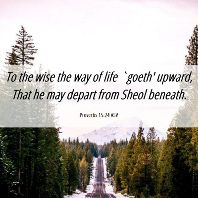 Picture 06 - Proverbs 15:24 ASV - To the wise the way of life `goeth' upward, That - Bible Verse Picture
