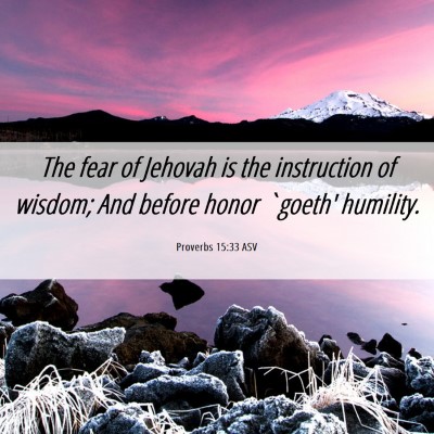 Picture 06 - Proverbs 15:33 ASV - The fear of Jehovah is the instruction of wisdom; - Bible Verse Picture