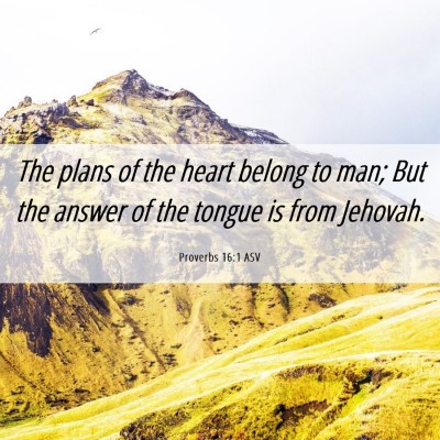 Picture 06 - Proverbs 16:1 ASV - The plans of the heart belong to man; But the - Bible Verse Picture