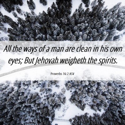 Picture 06 - Proverbs 16:2 ASV - All the ways of a man are clean in his own eyes; - Bible Verse Picture