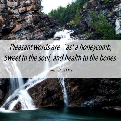 Picture 06 - Proverbs 16:24 ASV - Pleasant words are `as' a honeycomb, Sweet to the - Bible Verse Picture