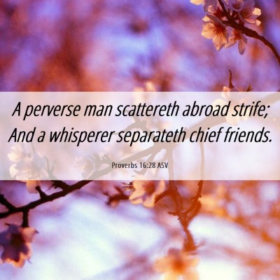 Picture 06 - Proverbs 16:28 ASV - A perverse man scattereth abroad strife; And a - Bible Verse Picture