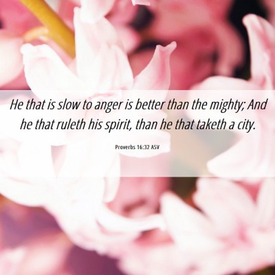 Picture 06 - Proverbs 16:32 ASV - He that is slow to anger is better than the - Bible Verse Picture