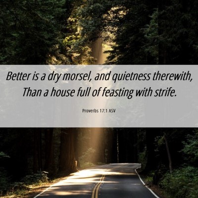 Picture 06 - Proverbs 17:1 ASV - Better is a dry morsel, and quietness therewith, - Bible Verse Picture