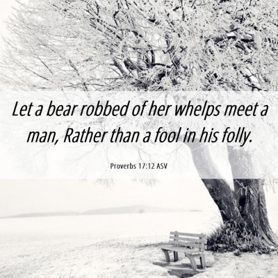 Picture 06 - Proverbs 17:12 ASV - Let a bear robbed of her whelps meet a man, - Bible Verse Picture