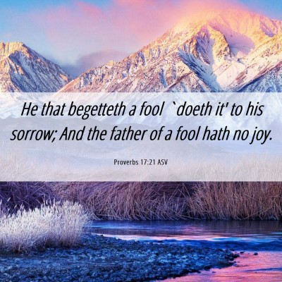 Picture 06 - Proverbs 17:21 ASV - He that begetteth a fool `doeth it' to his - Bible Verse Picture