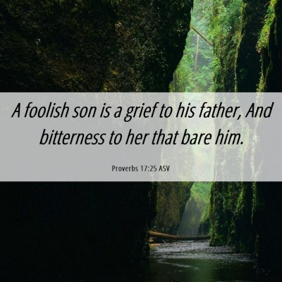 Picture 06 - Proverbs 17:25 ASV - A foolish son is a grief to his father, And - Bible Verse Picture