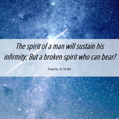 Picture 06 - Proverbs 18:14 ASV - The spirit of a man will sustain his infirmity; - Bible Verse Picture