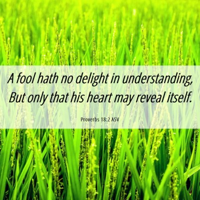 Picture 06 - Proverbs 18:2 ASV - A fool hath no delight in understanding, But only - Bible Verse Picture