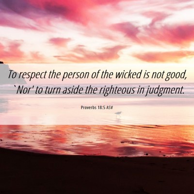 Picture 06 - Proverbs 18:5 ASV - To respect the person of the wicked is not good, - Bible Verse Picture