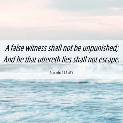 Picture 06 - Proverbs 19:5 ASV - A false witness shall not be unpunished; And he - Bible Verse Picture