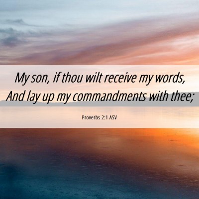 Picture 06 - Proverbs 2:1 ASV - My son, if thou wilt receive my words, And lay up - Bible Verse Picture