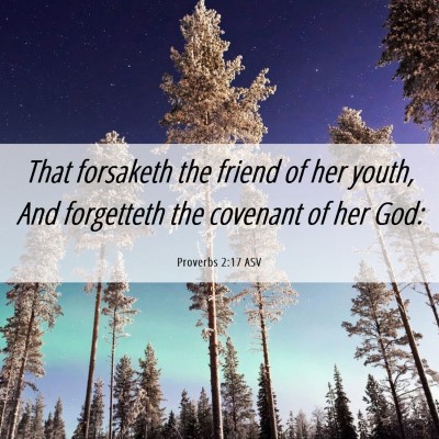 Picture 06 - Proverbs 2:17 ASV - That forsaketh the friend of her youth, And - Bible Verse Picture