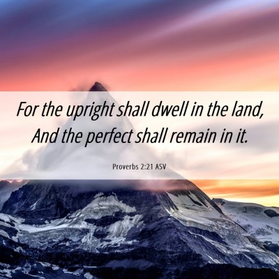 Picture 06 - Proverbs 2:21 ASV - For the upright shall dwell in the land, And the - Bible Verse Picture