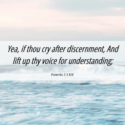 Picture 06 - Proverbs 2:3 ASV - Yea, if thou cry after discernment, And lift up - Bible Verse Picture