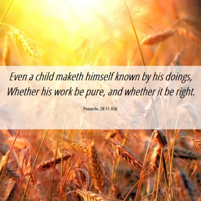Picture 06 - Proverbs 20:11 ASV - Even a child maketh himself known by his doings, - Bible Verse Picture