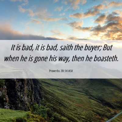Picture 06 - Proverbs 20:14 ASV - It is bad, it is bad, saith the buyer; But when - Bible Verse Picture