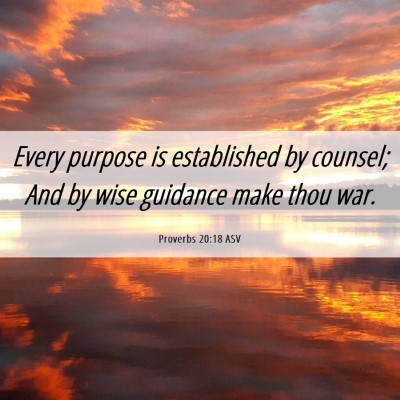 Picture 06 - Proverbs 20:18 ASV - Every purpose is established by counsel; And by - Bible Verse Picture