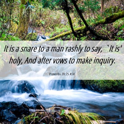 Picture 06 - Proverbs 20:25 ASV - It is a snare to a man rashly to say, `It is' - Bible Verse Picture