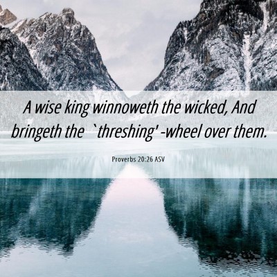 Picture 06 - Proverbs 20:26 ASV - A wise king winnoweth the wicked, And bringeth - Bible Verse Picture