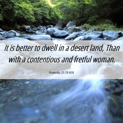 Picture 06 - Proverbs 21:19 ASV - It is better to dwell in a desert land, Than with - Bible Verse Picture