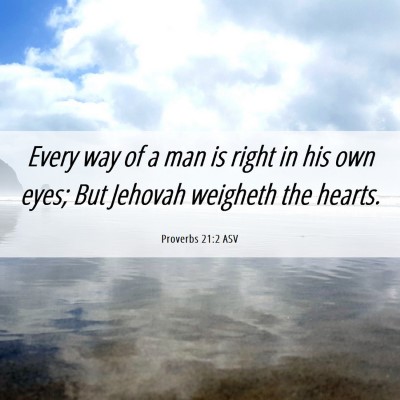 Picture 06 - Proverbs 21:2 ASV - Every way of a man is right in his own eyes; But - Bible Verse Picture