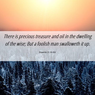 Picture 06 - Proverbs 21:20 ASV - There is precious treasure and oil in the - Bible Verse Picture