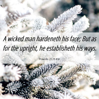 Picture 06 - Proverbs 21:29 ASV - A wicked man hardeneth his face; But as for the - Bible Verse Picture