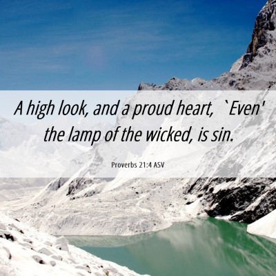 Picture 06 - Proverbs 21:4 ASV - A high look, and a proud heart, `Even' the lamp - Bible Verse Picture